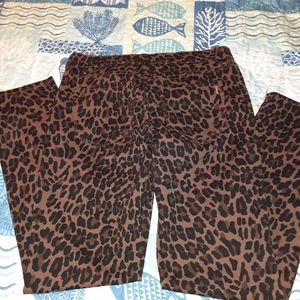 Leopard Print Pants - Vintage X America